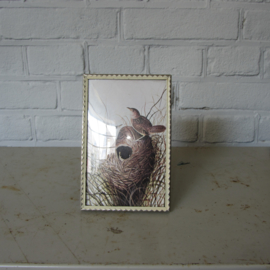 Vintage lijst met vogelprint