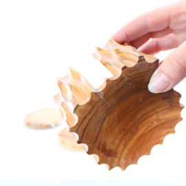 Onderzetters brutalist robuust hout