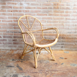 Vintage rotan fauteuil blad vorm