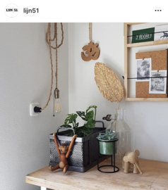 Mooi plaatje met plantenstandaard van meutt