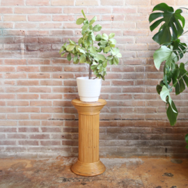 Vintage plantentafel pilaar jaren 70 rotan