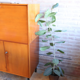 Vintage kast secretaire