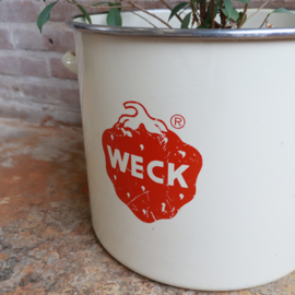 Vintage weckpan pot aardbei