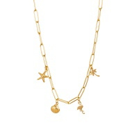 ixxxi ketting goud 40cm