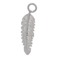 ixxxi charm feather zilver