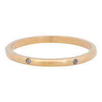 Elegance 2mm goud