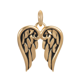 Pendant wings goud