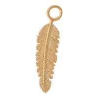 ixxxi charm feather goud