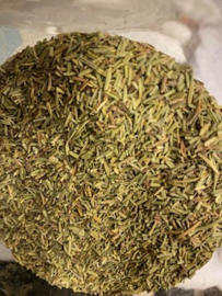 Rozemarijn- Rosmarinus officinalis