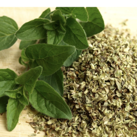 Oregano | Origanum vulgare