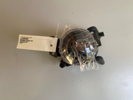 Mistlamp rechts