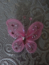Vlinder Rose