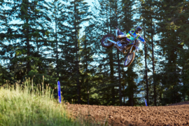 Yamaha YZ250 2025 Monster Energy Yamaha Racing Edition