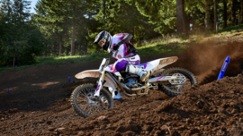 Yamaha YZ250F 2024 Monster Energy Yamaha Racing Edition