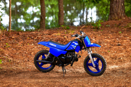 Yamaha PW50 2025