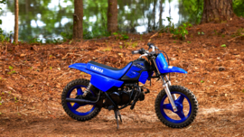 Yamaha PW50 2023