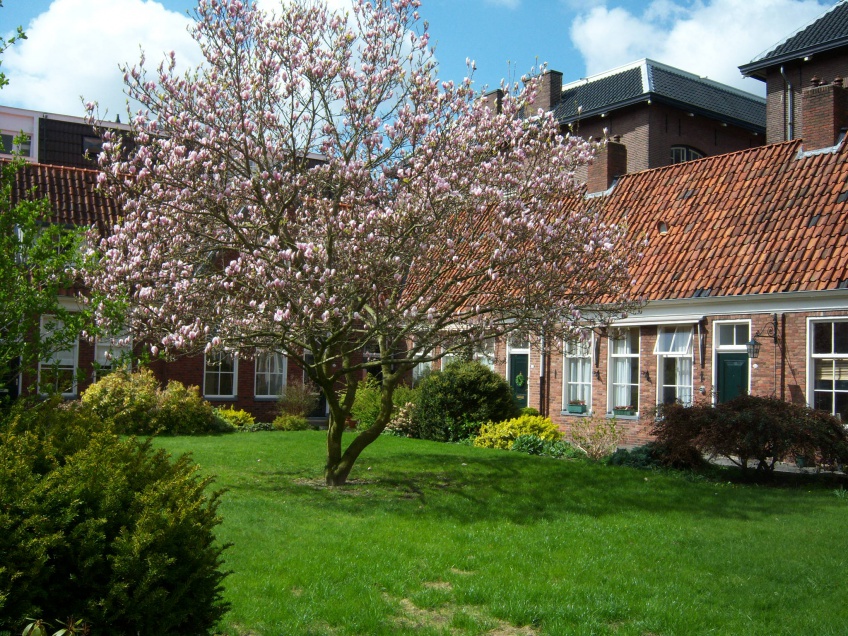 gidstocht groningers hof bekijken