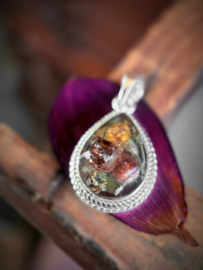 DNA-Art special nr. 14