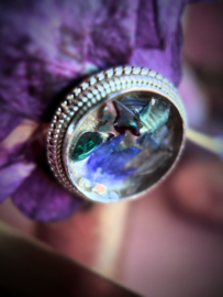 DNA-Art special nr. 13