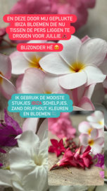 DNA-Art met thema Ibiza