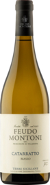Feudo Montoni Catarratto del Masso
