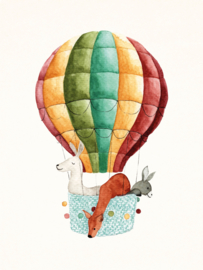 Mini Poster | Luchtballon
