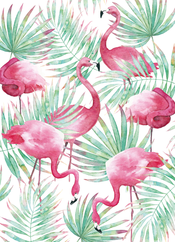 Postkaart | Flamingo Paradise