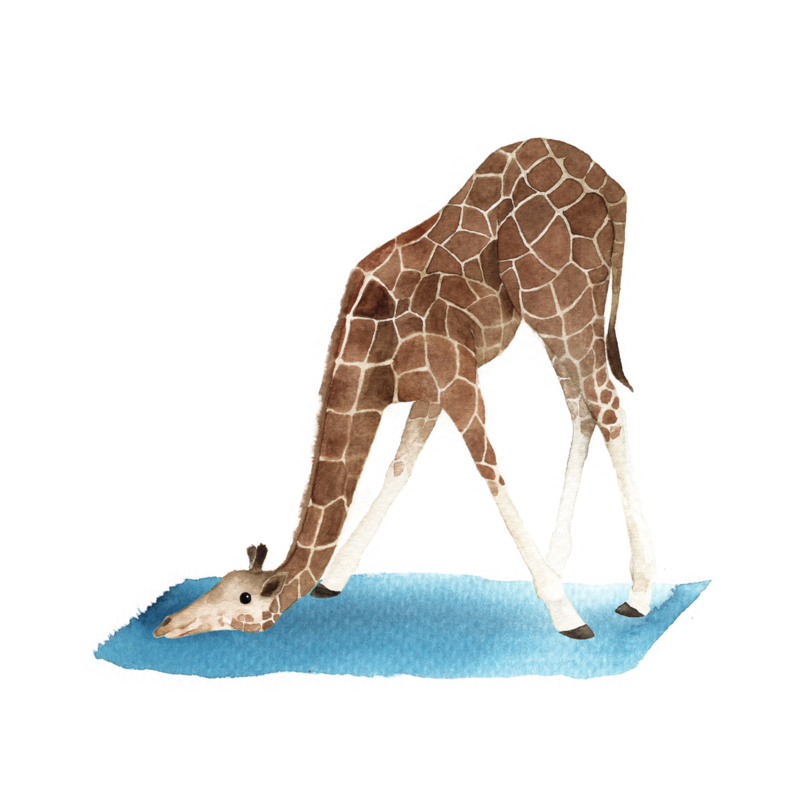 Postkaart | Yoga Giraffe 03