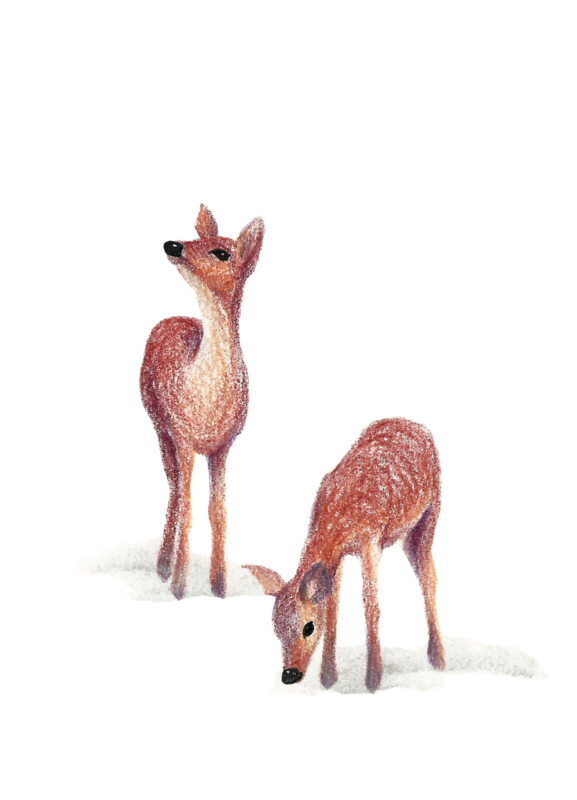 A5 Art Print | My Deer