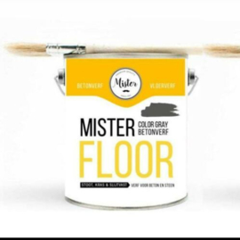 Mr-Floor Gietcoating - dubbel (color) Coating.