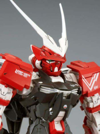 1/100 MG Gundam Astray Turn Red Ltd