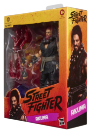 G4443 Hasbro Street Fighter Akuma