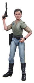 Black Series AF Princess Leia Organa (Endor) (Episode VI)