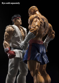 Street Fighter S.H. Figuarts Action Figure Sagat Tamashii Web Exclusive