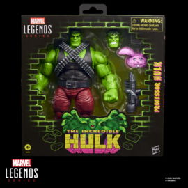 G2405 Marvel Legends Series Professor Hulk