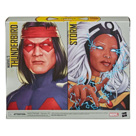 Marvel Legends X-men AF 2020 Storm & Marvel's Thunderbird [2-pack]