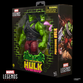 G2405 Marvel Legends Series Professor Hulk