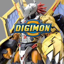 Digimon / Yu-Gi-Oh