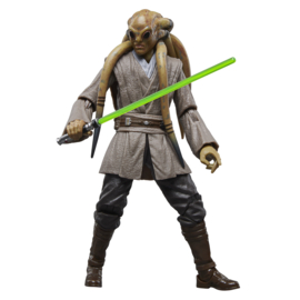 G1743 Star Wars The Black Series Kit Fisto