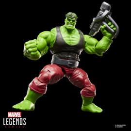 G2405 Marvel Legends Series Professor Hulk