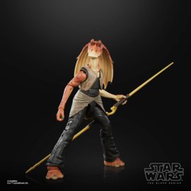 Star Wars Episode I Black Series Lucasfilm 50th Ann. AF 2021 Jar Jar Binks