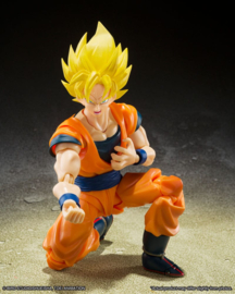 Dragon Ball Z S.H. Figuarts Android 20