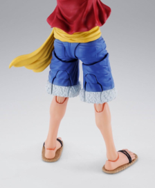 S.H. Figuarts Monkey D. Luffy -Two Years Later-