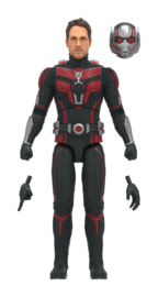 F6573 Ant-Man and the Wasp: Quantumania Marvel Legends The Antman
