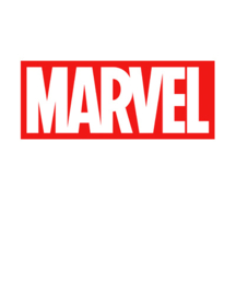 Marvel/ DC Action Figures