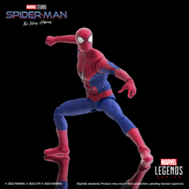 Marvel Legends Series Spider-Man: No Way Home Pack [F6536]