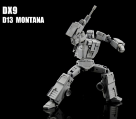 DX9 D-13 Montana