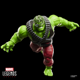 G2405 Marvel Legends Series Professor Hulk