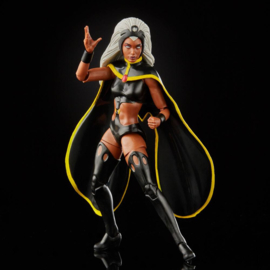 Marvel Legends X-men AF 2020 Storm & Marvel's Thunderbird [2-pack]