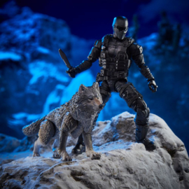 G.I. Joe CS AF 2-Pack 2021 Snake Eyes & Timber: Alpha Commandos